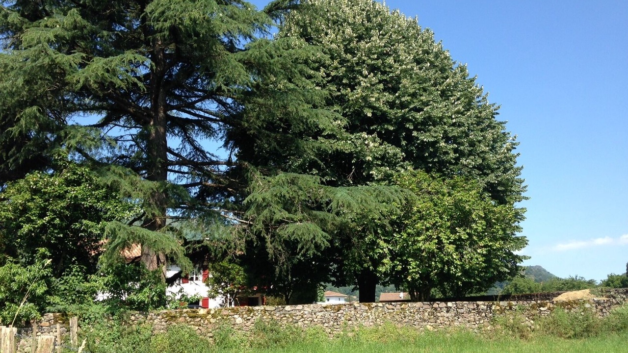 Photo of Outdoor in Saint-Martin-d'Arrossa