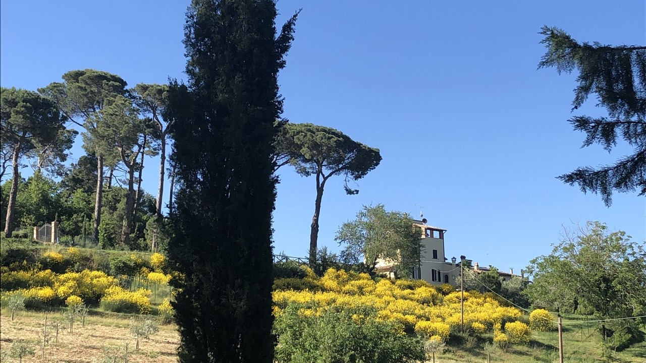 Photo of Outdoor in Chianciano Terme