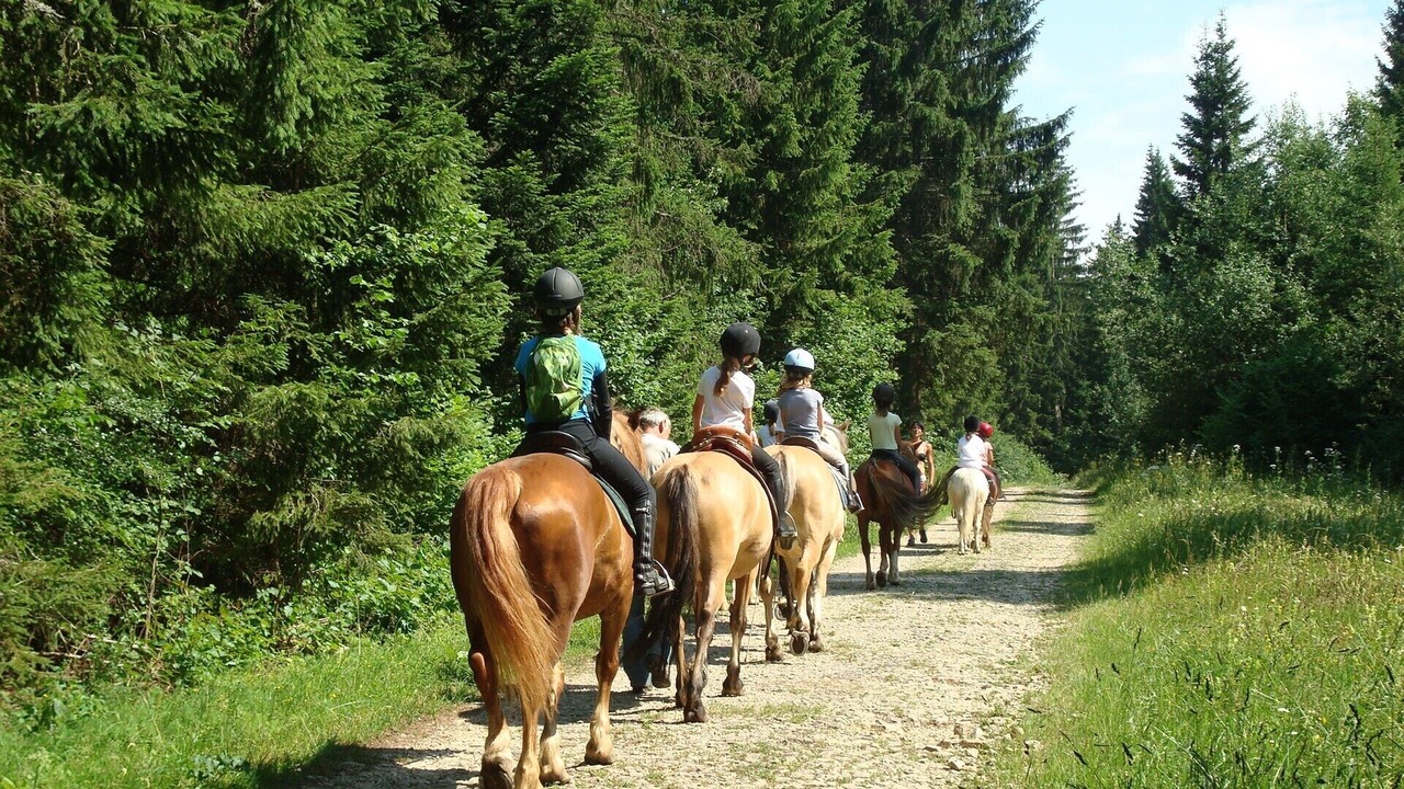 Photo of Others in Vielle-Tursan