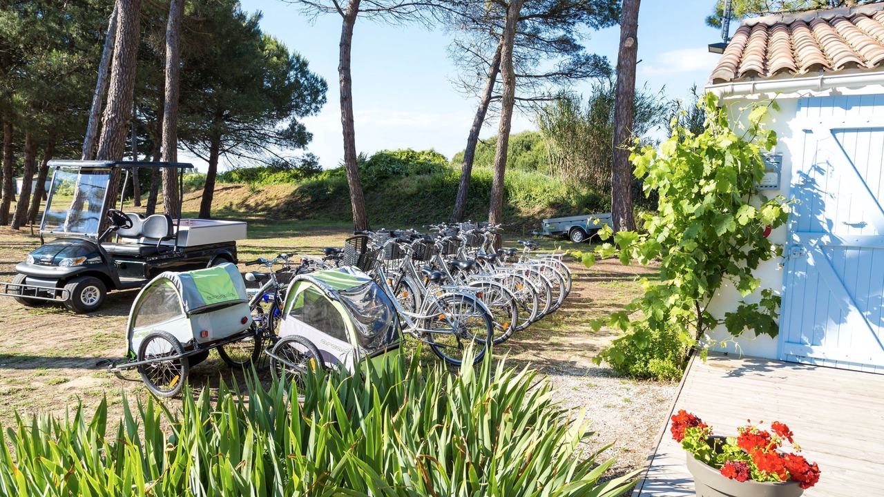 Photo of Outdoor in Le Bois-Plage-en-Re