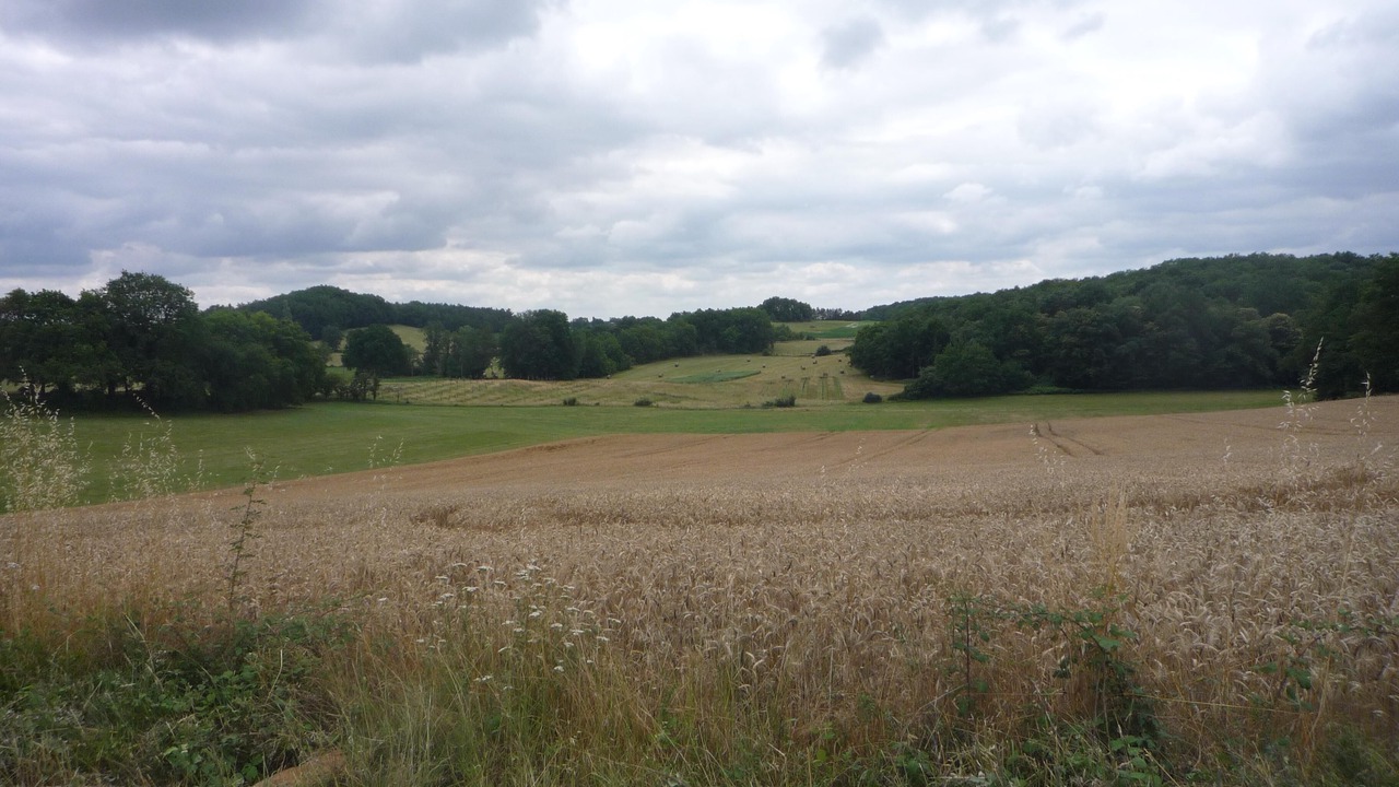 Photo of Outdoor in Pontours