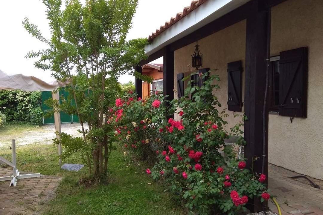Photo of Outdoor in Saint-Louis-De-Montferrand