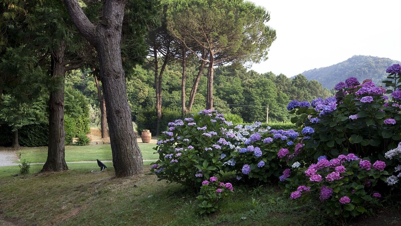 Photo of Outdoor in Balbano