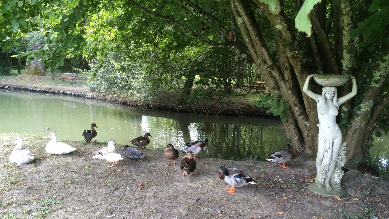 Photo of Outdoor in Saint-Christoly-de-Blaye