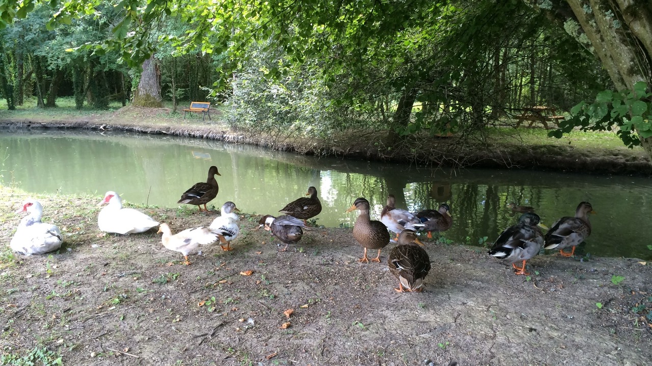 Photo of Others in Saint-Christoly-de-Blaye