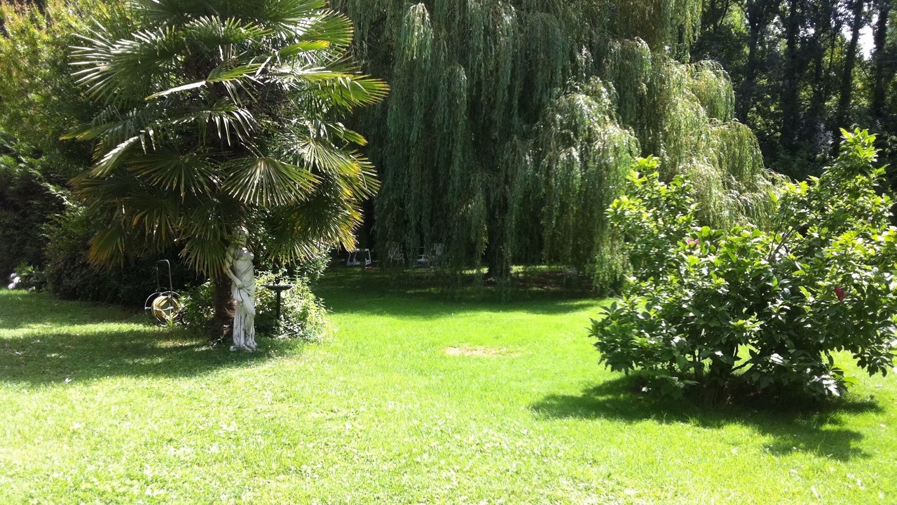 Photo of Outdoor in Saint-Christoly-de-Blaye