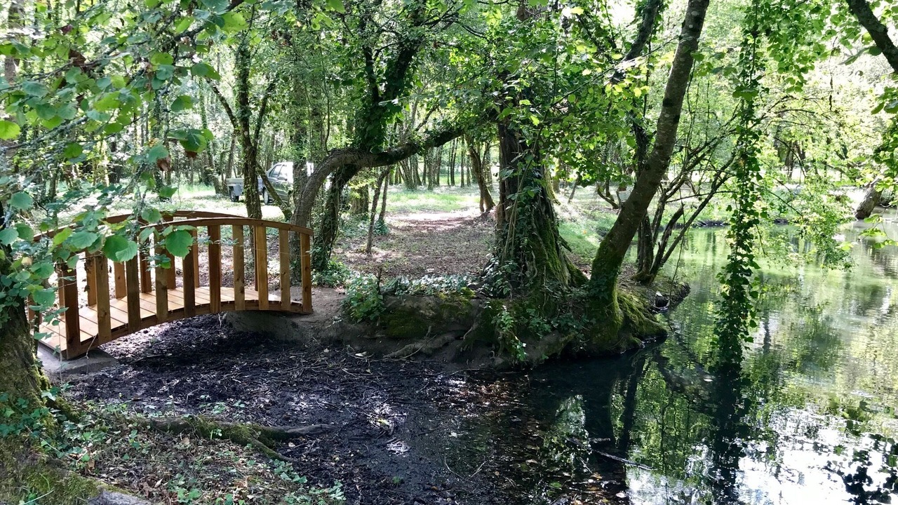 Photo of Outdoor in Saint-Christoly-de-Blaye