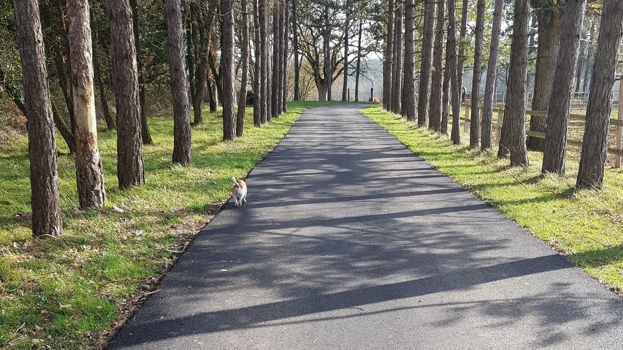 Photo of Outdoor in La Roche-Posay
