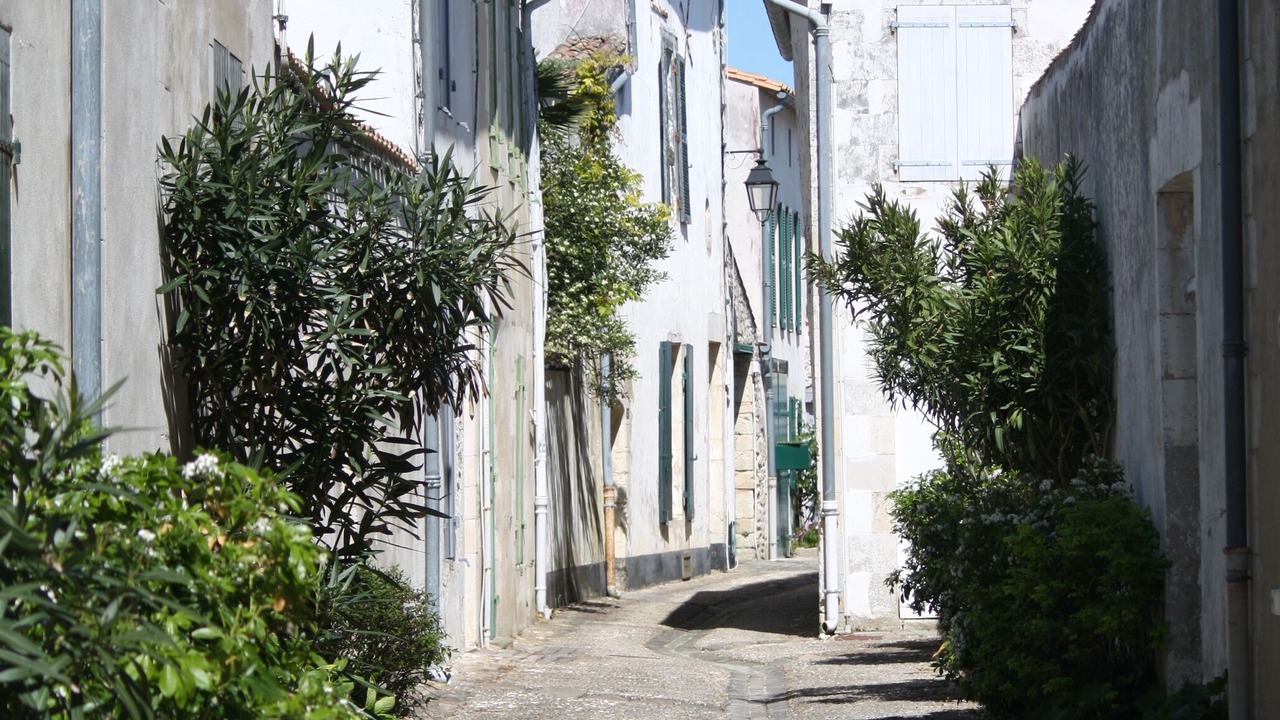 Photo of Outdoor in Angoulins