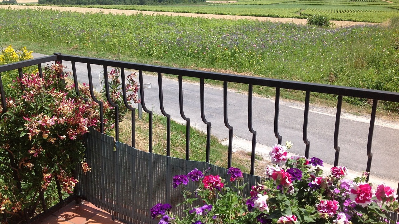 Photo of Outdoor in Saint-Fort-sur-Gironde