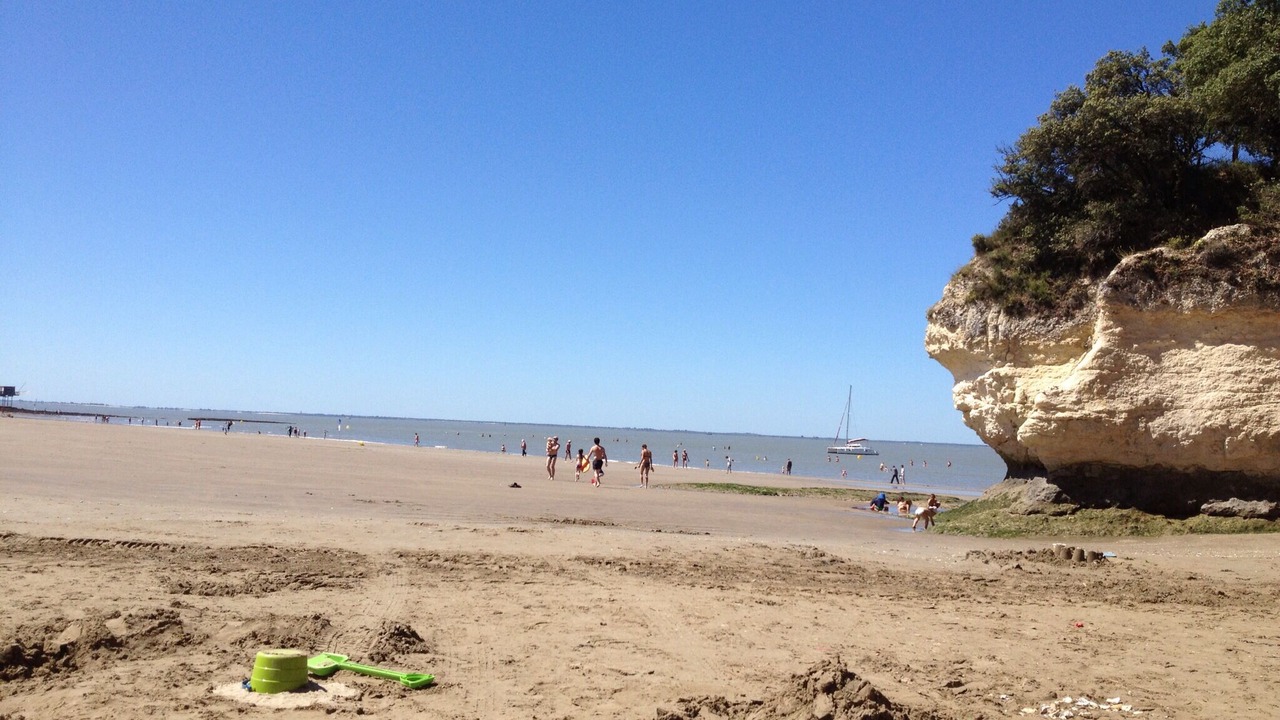 Photo of Others in Saint-Fort-sur-Gironde