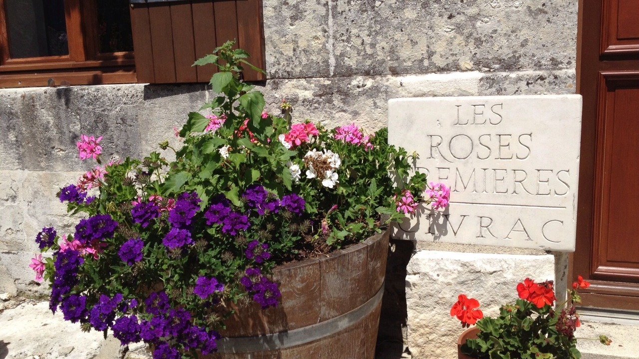 Photo of Outdoor in Saint-Fort-sur-Gironde