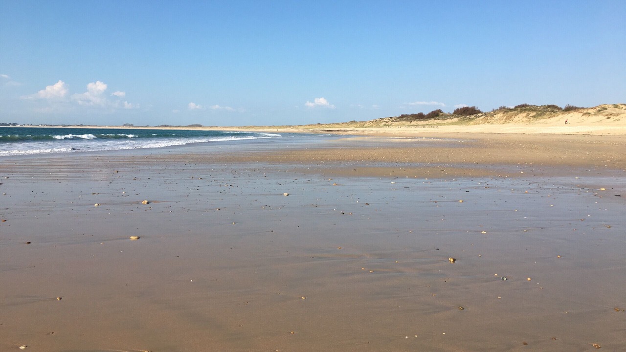 Photo of Others in Saint-Georges-d'Oleron