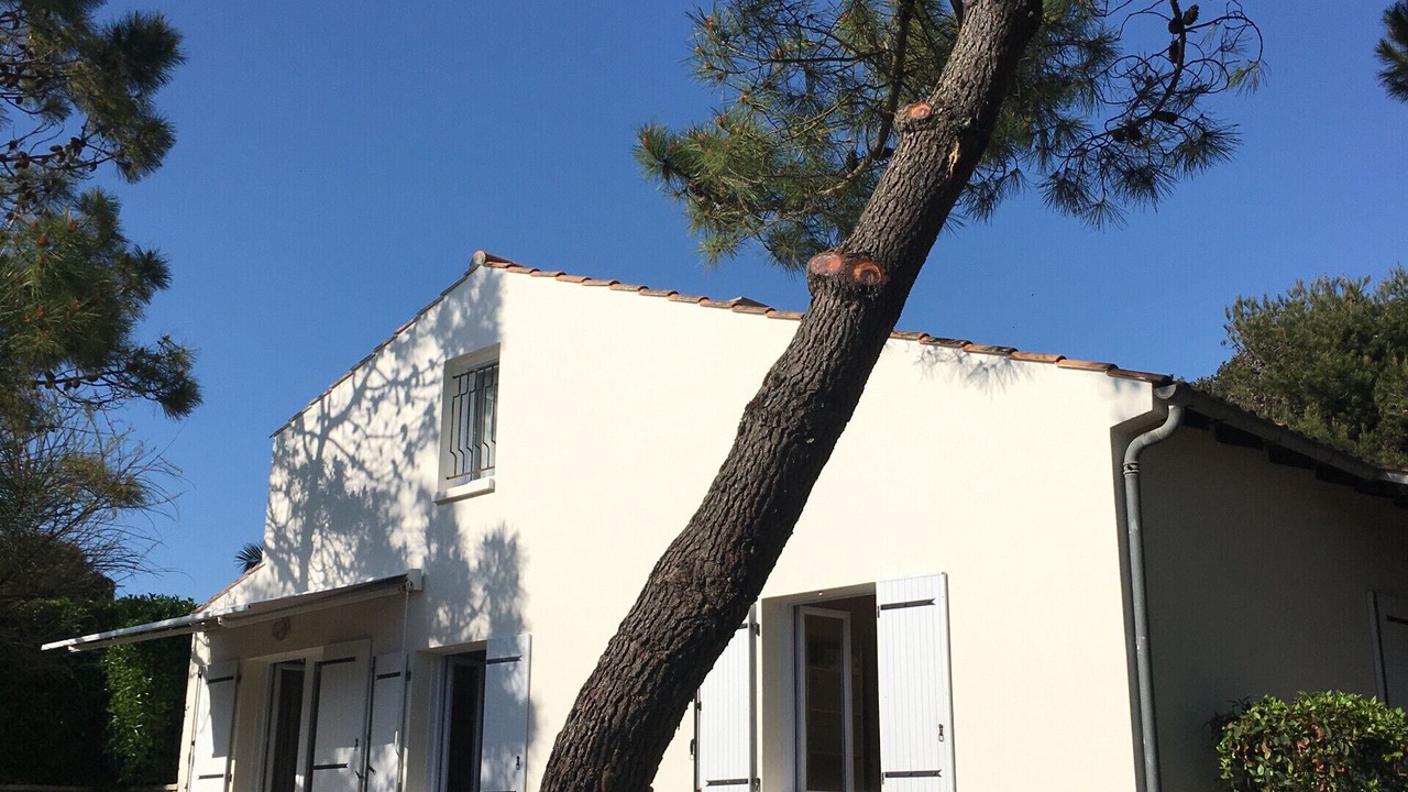 Photo of Outdoor in Saint-Georges-d'Oleron