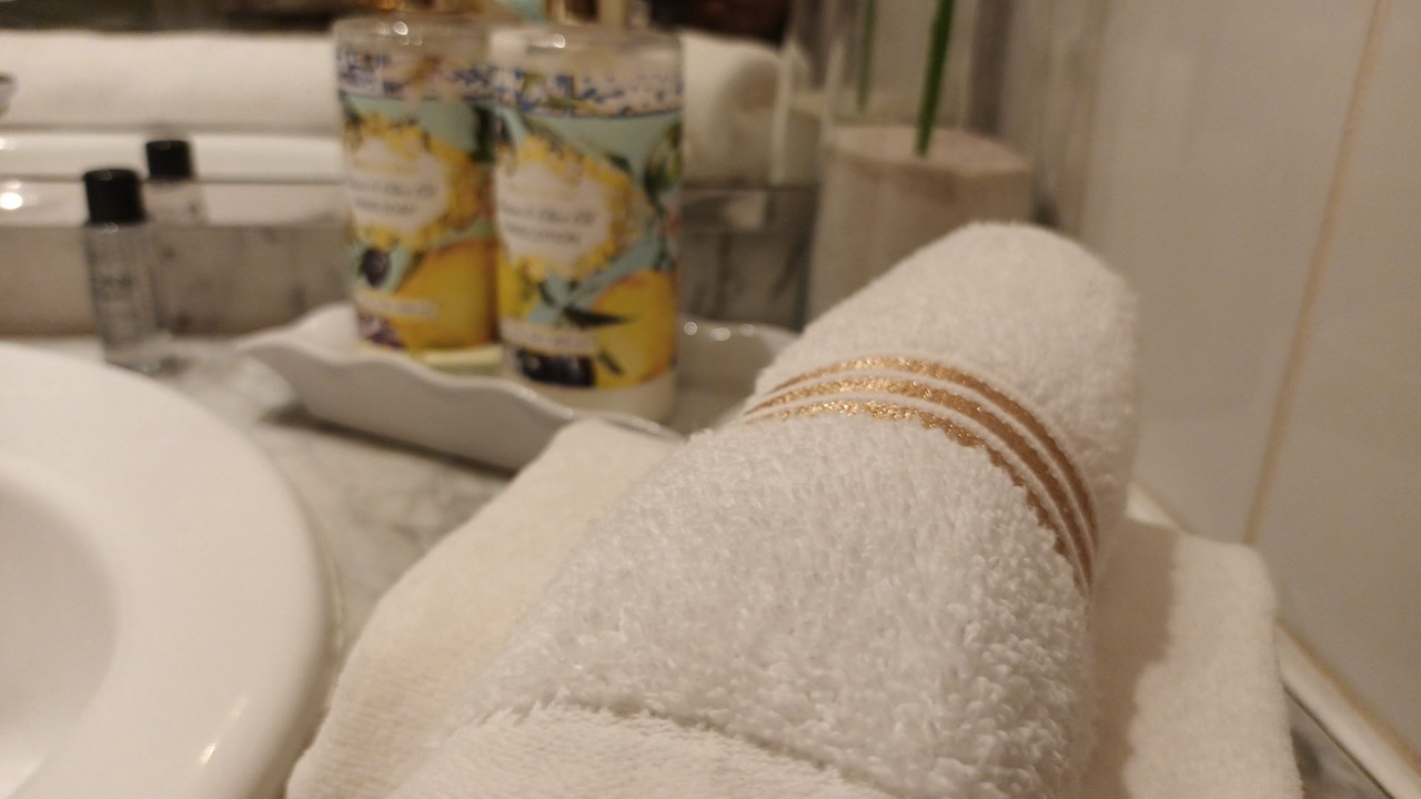 Photo of Bathroom in Beausoleil