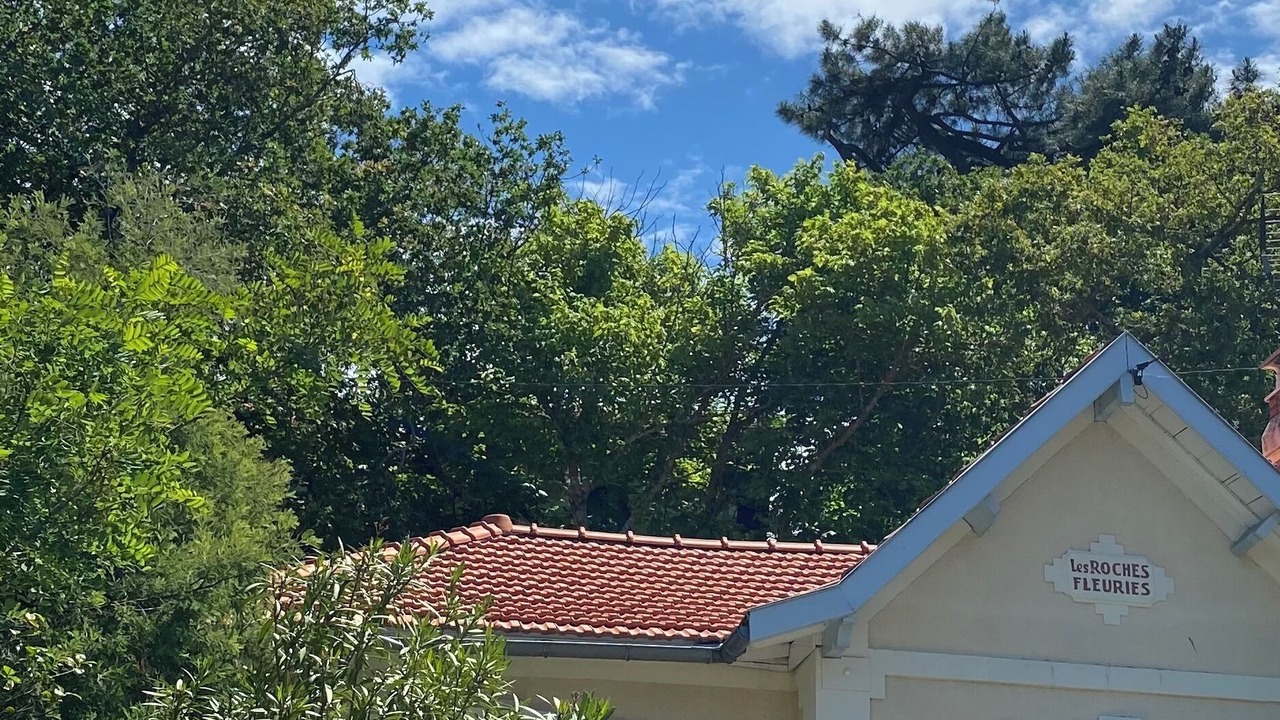 Photo of Outdoor in Arcachon