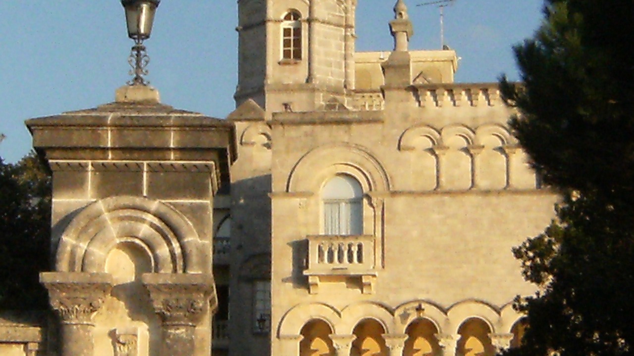 Photo of Others in Saint-Palais-sur-Mer