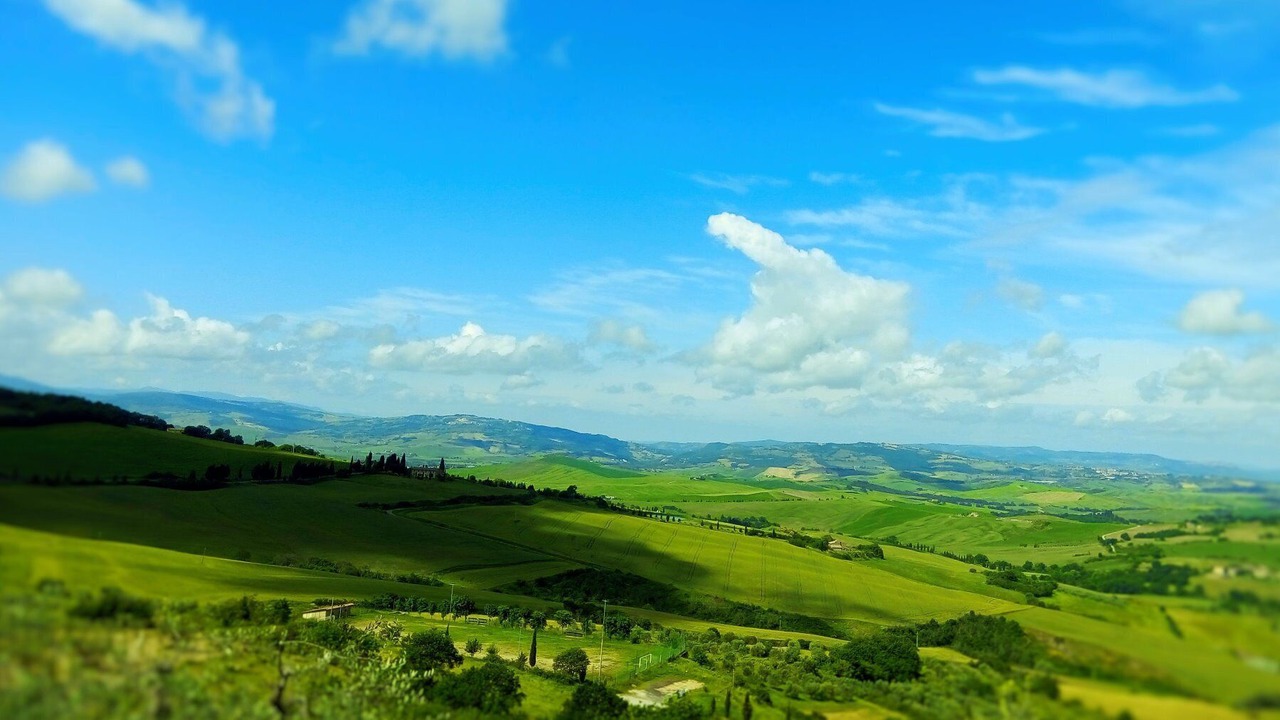 Photo of Others in Monticchiello