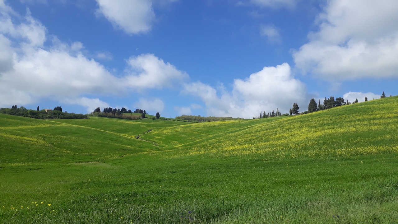 Photo of Others in Monticchiello