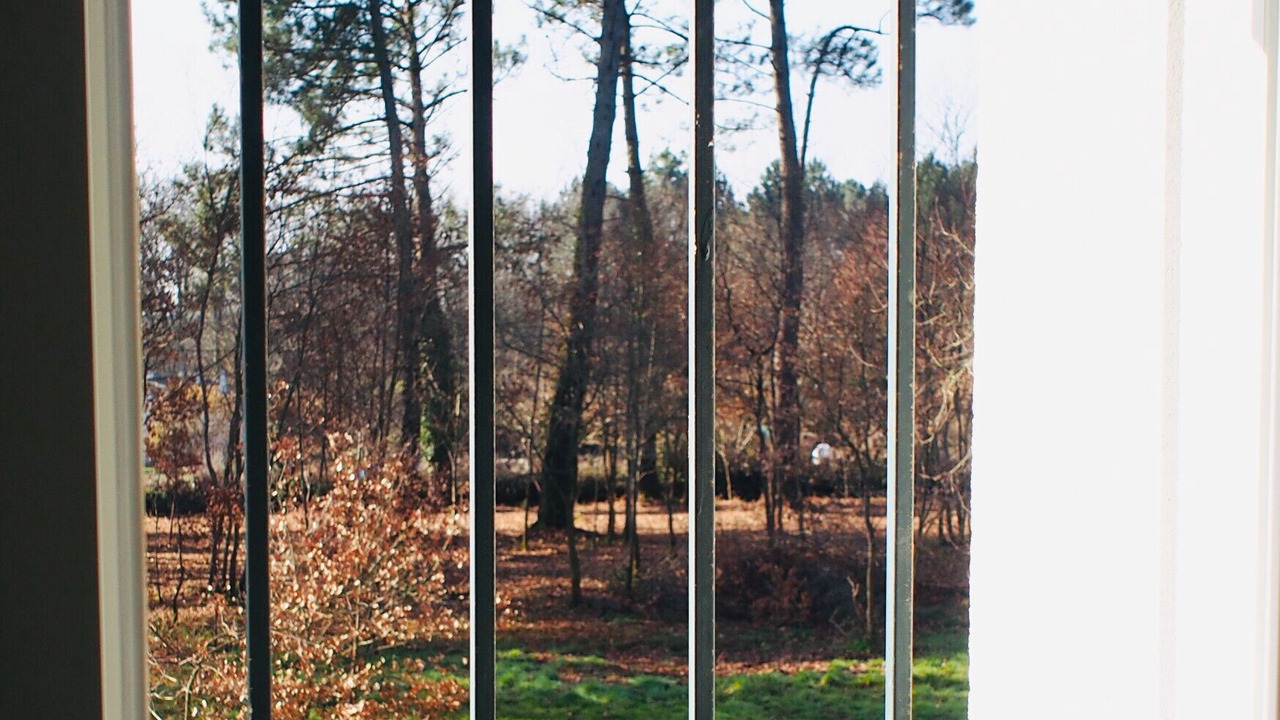 Photo of Others in Leognan