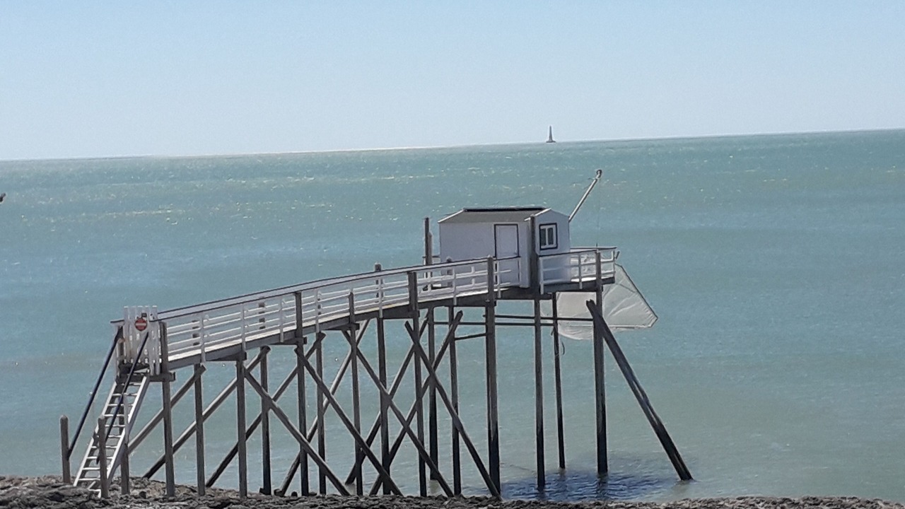 Photo of Others in Saint-Palais-sur-Mer