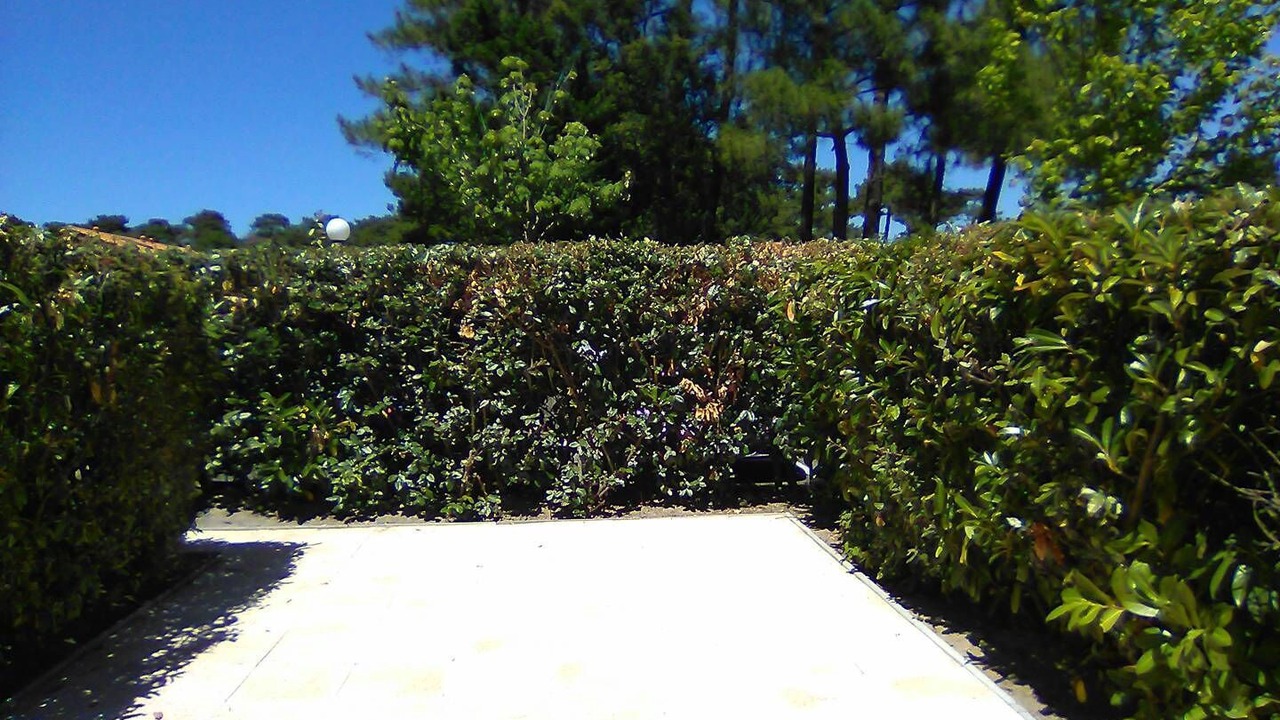 Photo of Outdoor in Capbreton