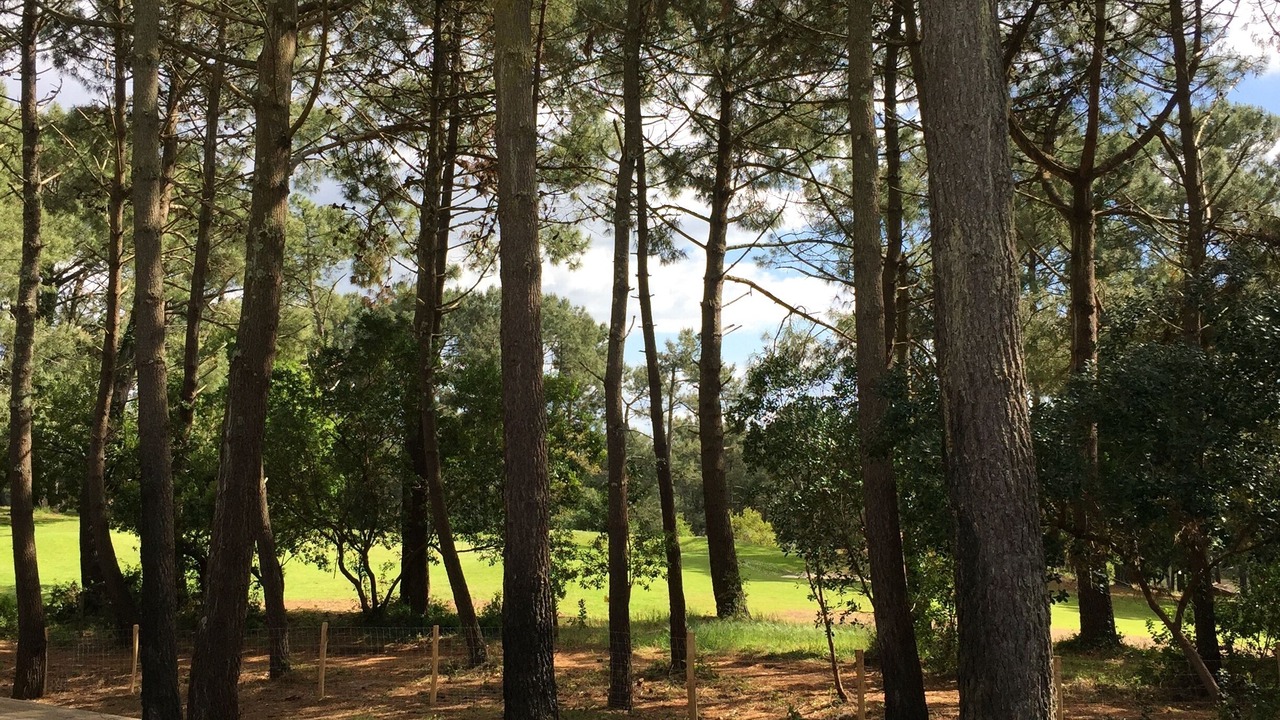 Photo of Outdoor in Lacanau-Ocean