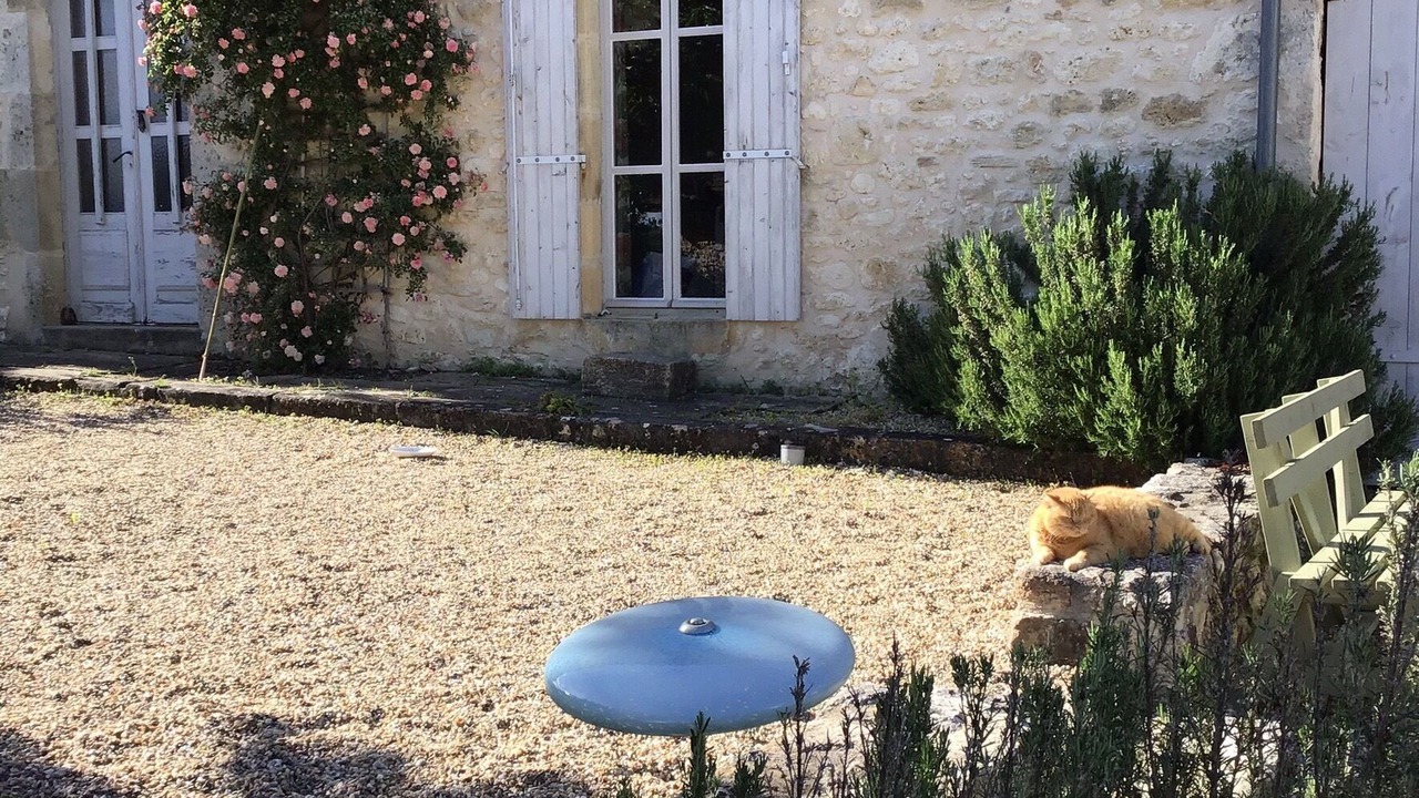Photo of Patio Balcony in Saint-Quentin-de-Caplong