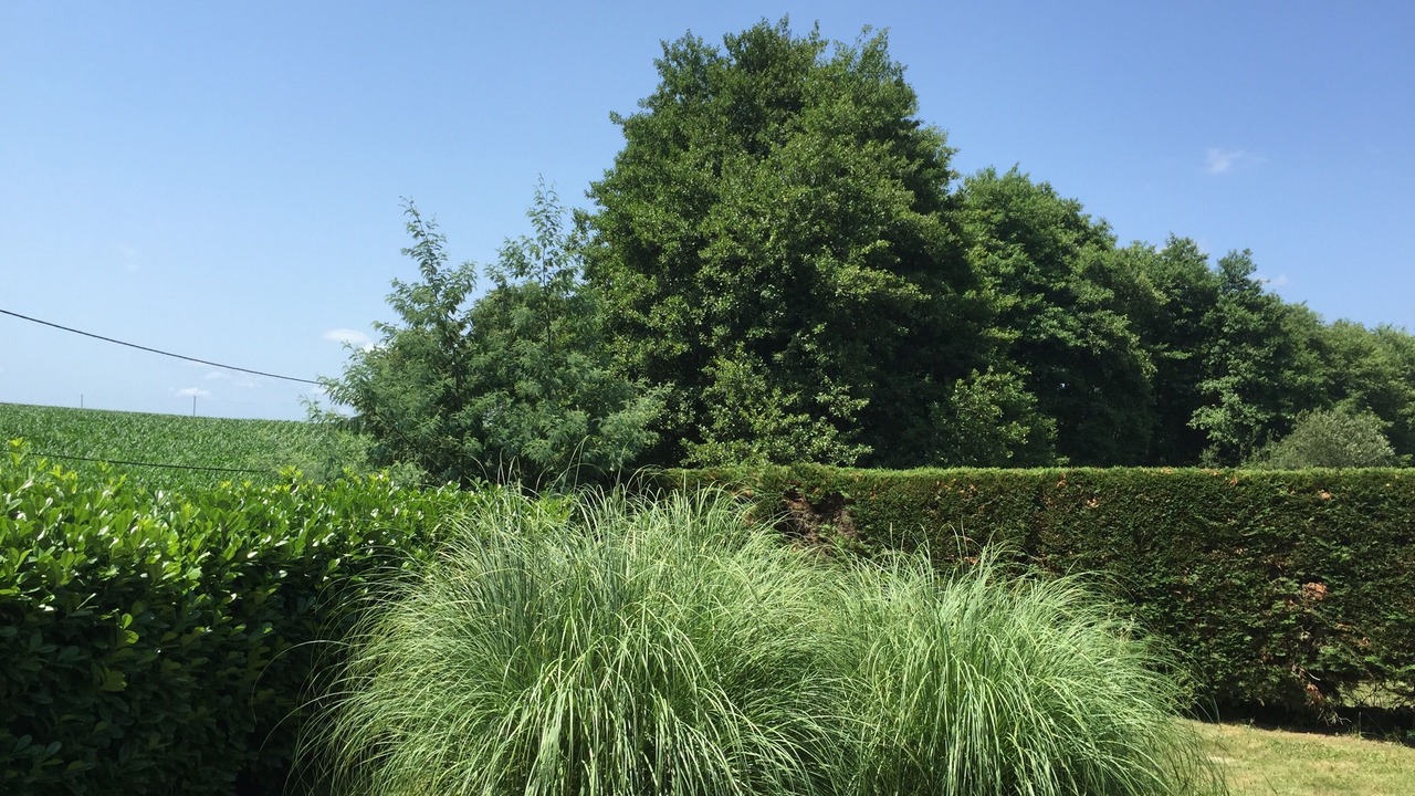 Photo of Outdoor in Saint-Lon-les-Mines