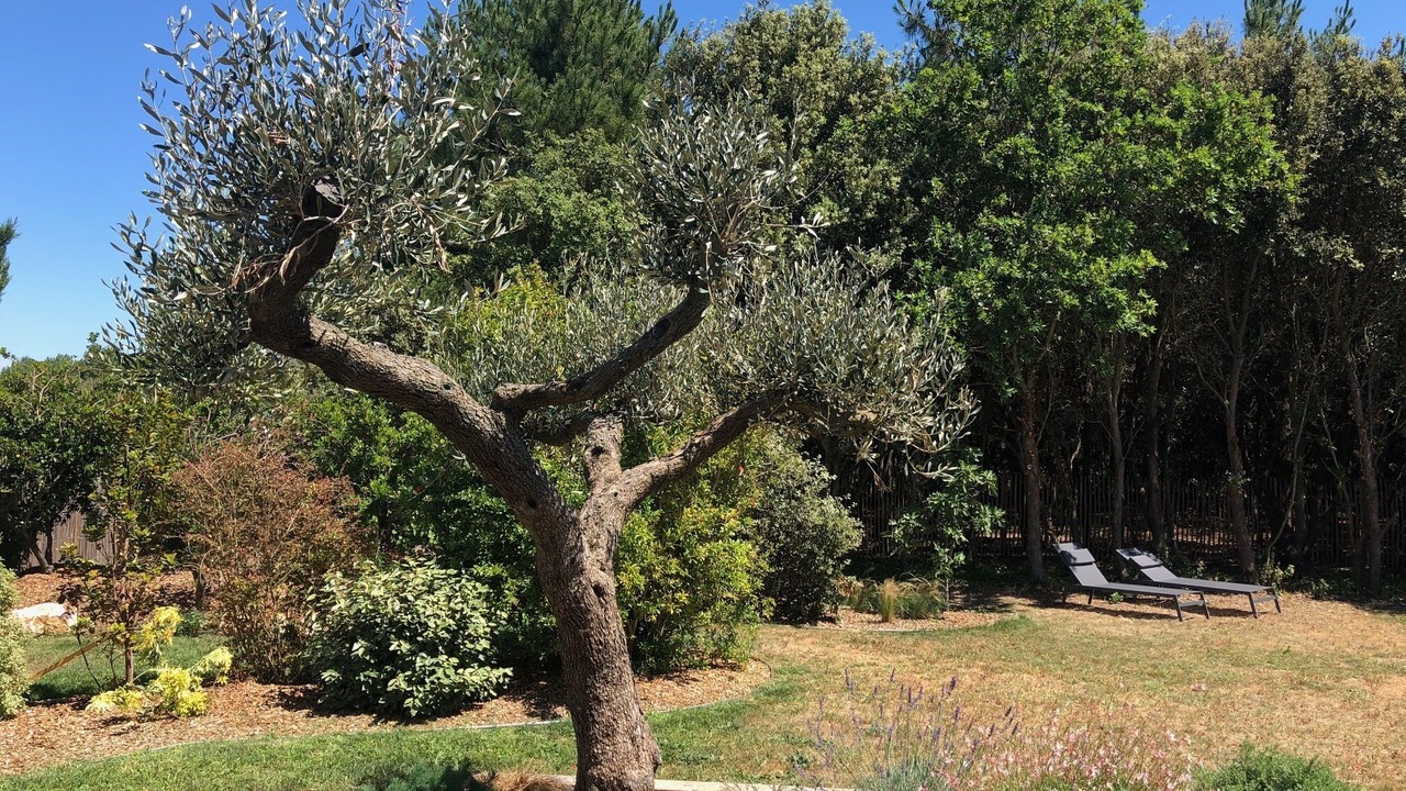 Photo of Outdoor in Saint-Pierre-d'Oleron