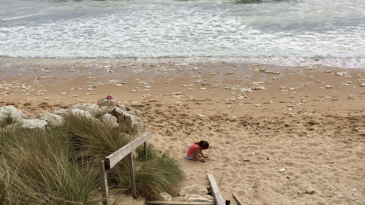 Photo of Others in Saint-Pierre-d'Oleron