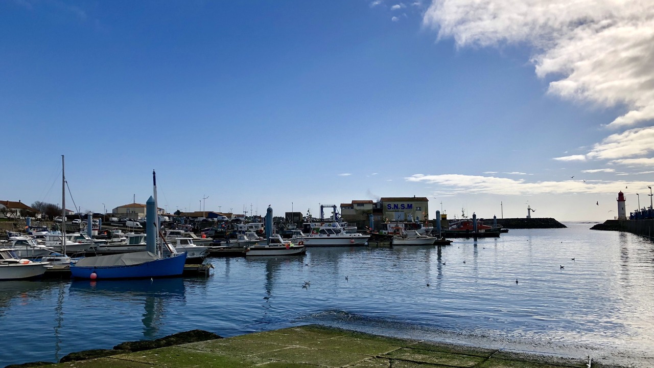 Photo of Others in Saint-Pierre-d'Oleron