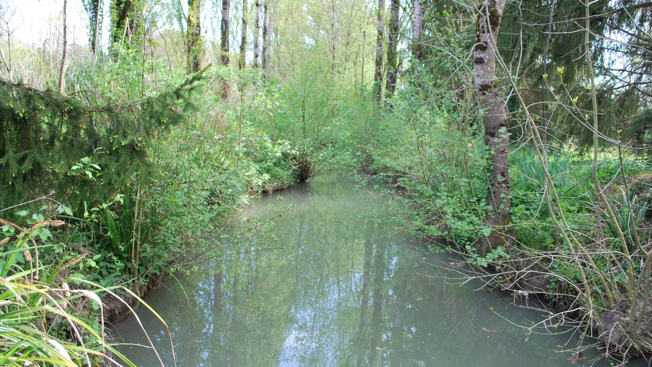 Photo of Outdoor in Fregimont
