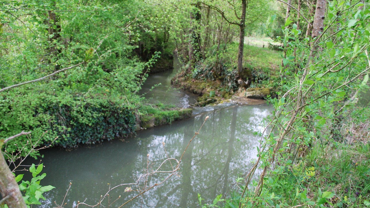 Photo of Outdoor in Fregimont