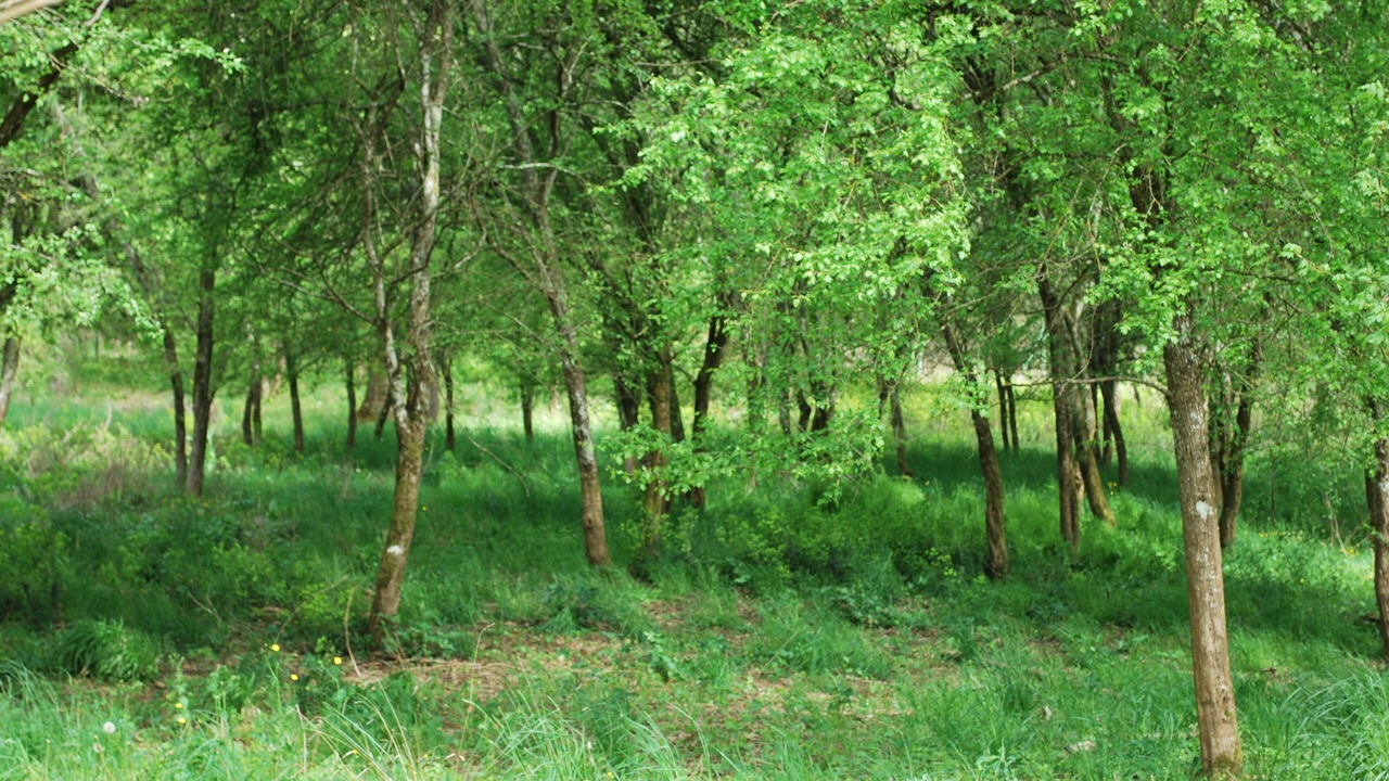 Photo of Outdoor in Fregimont