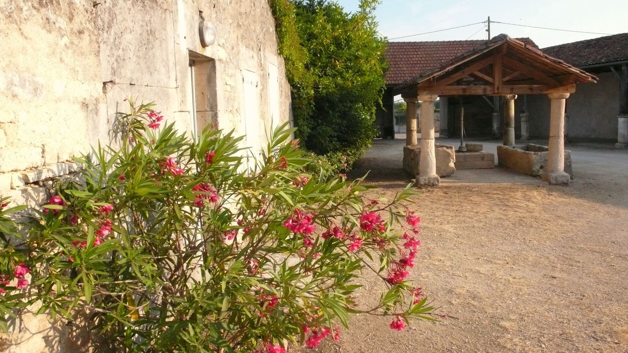 Photo of Outdoor in Les Metairies