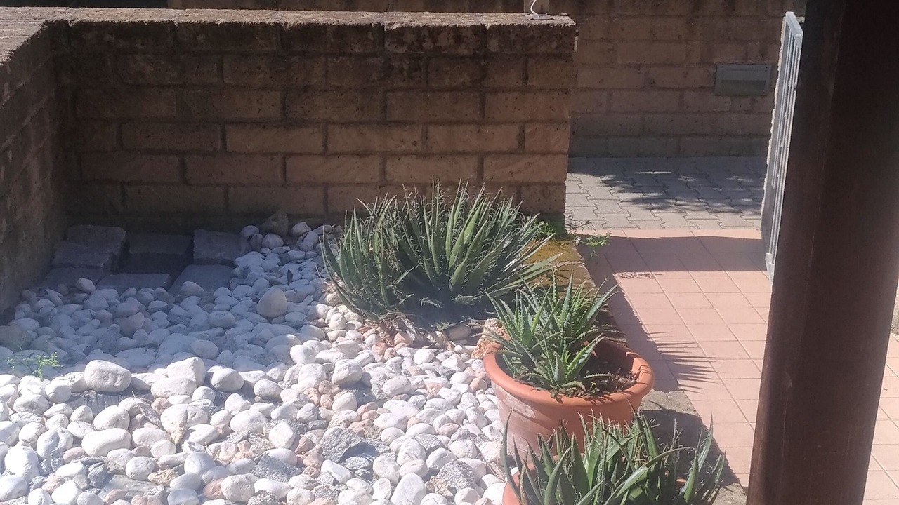 Photo of Outdoor in Campo nell'Elba