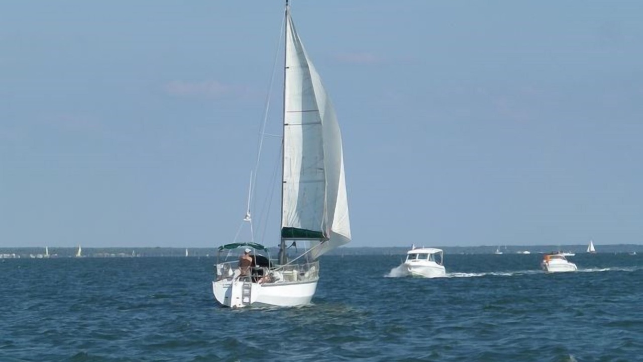 Photo of Others in Ares