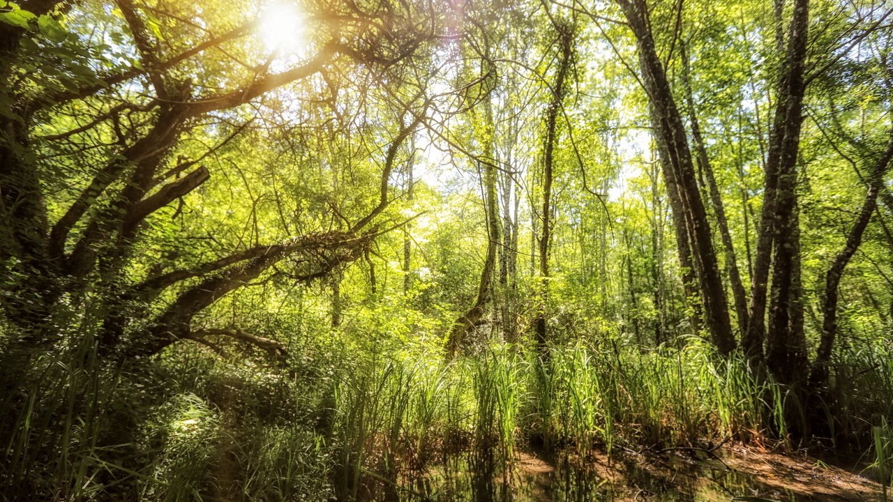 Photo of Outdoor in Saint-Martin-des-Combes