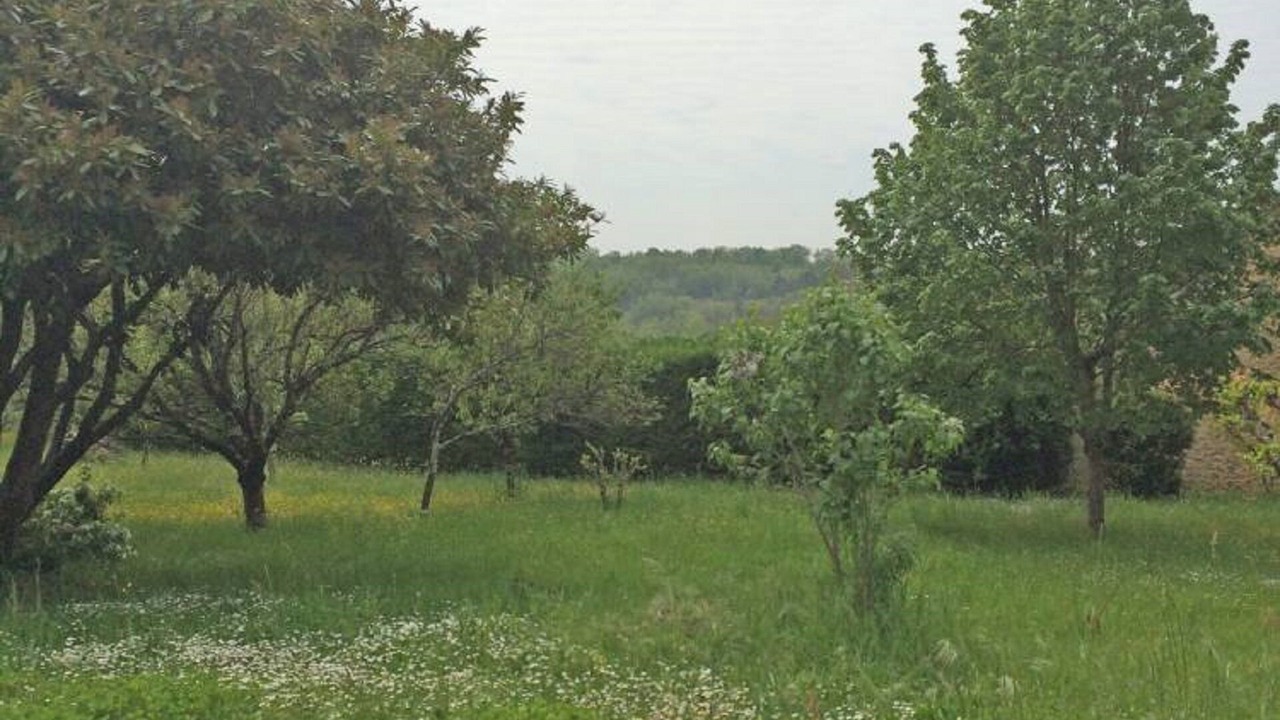 Photo of Outdoor in Monsac