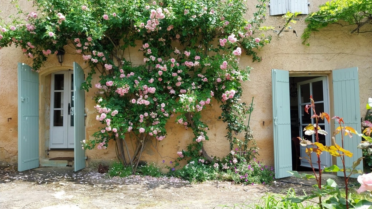 Photo of Outdoor in Monsac