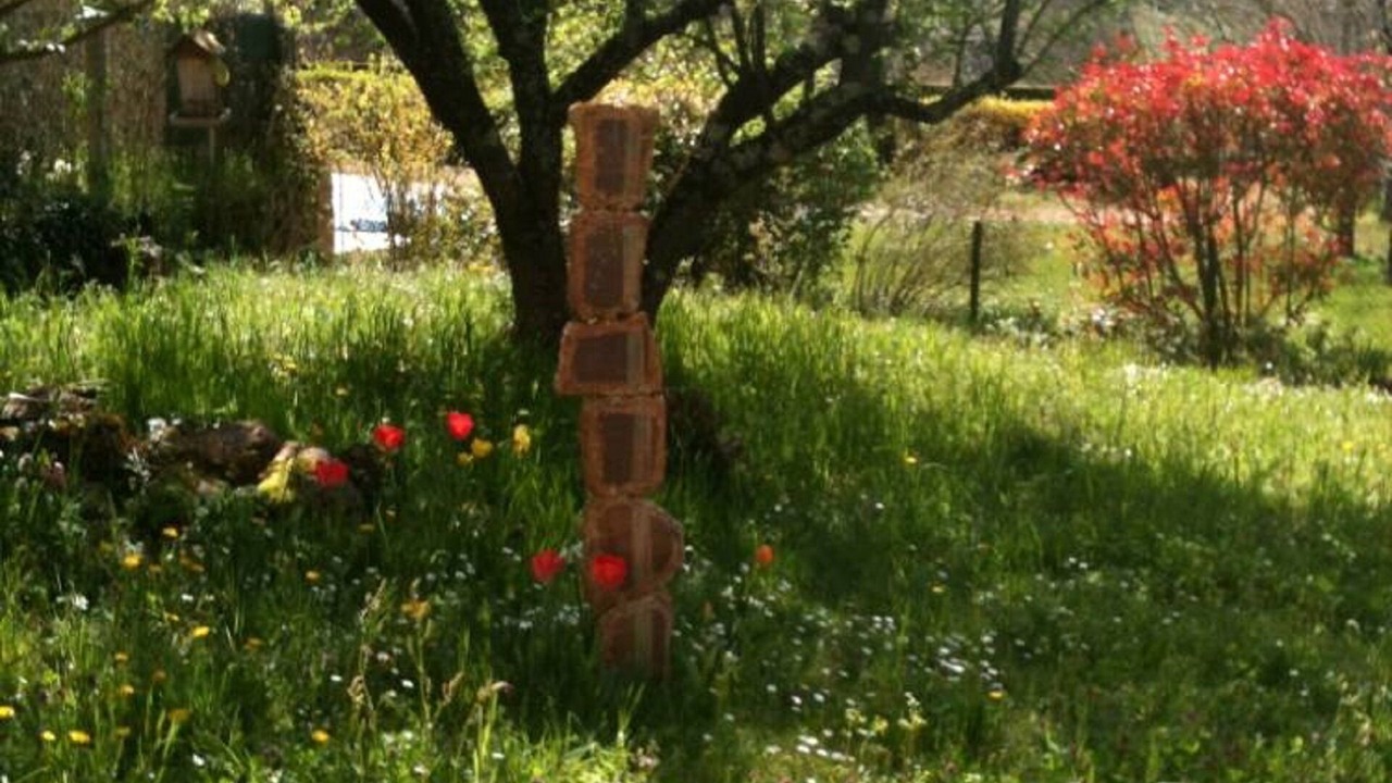 Photo of Outdoor in Monsac