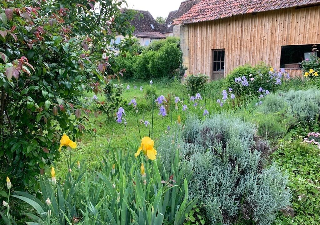 Photo of Outdoor in Monsac