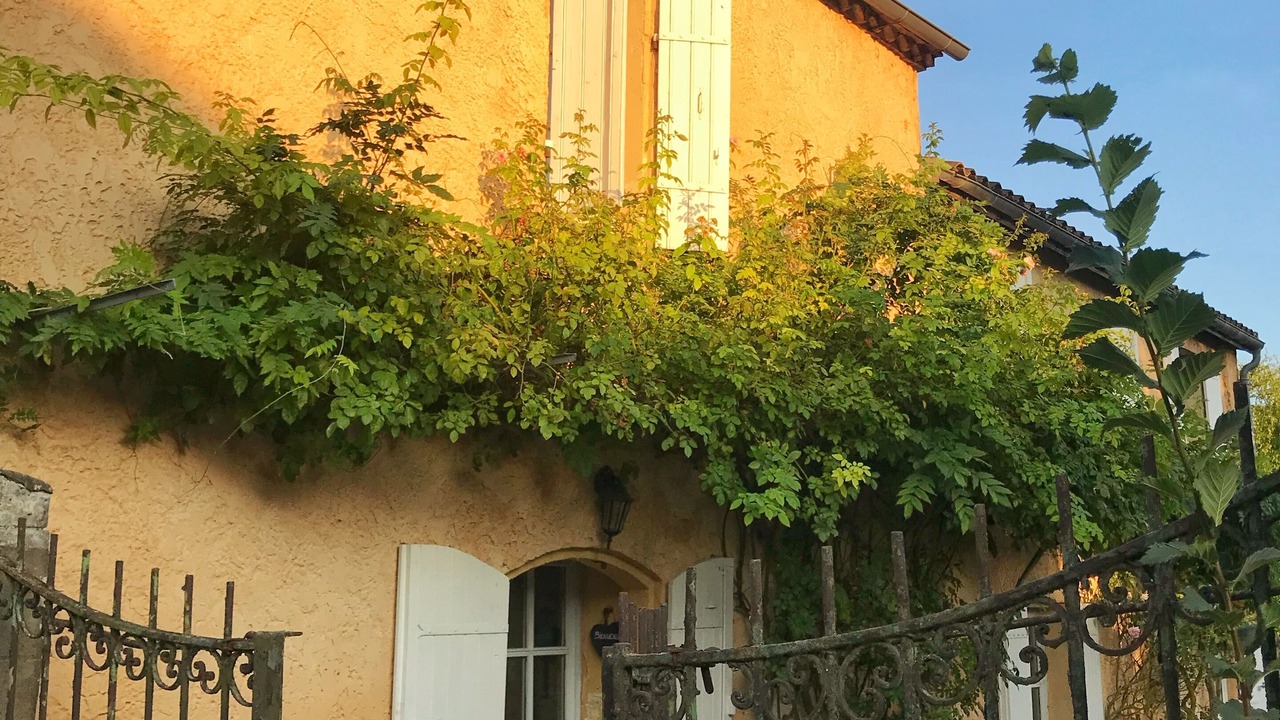 Photo of Outdoor in Monsac
