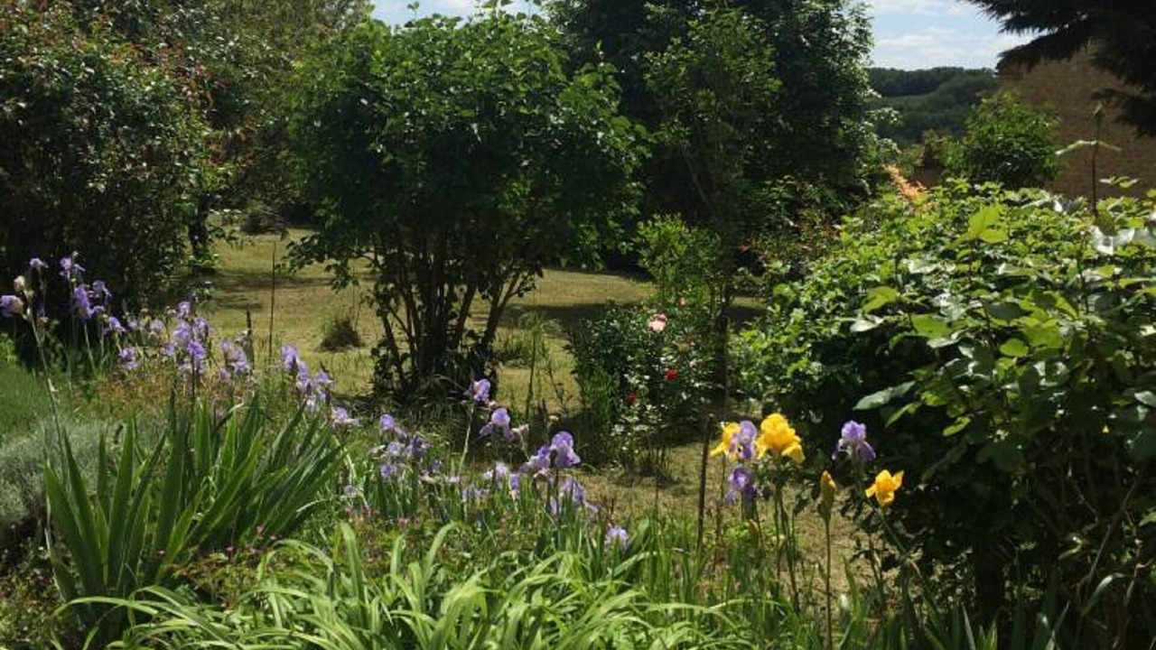 Photo of Outdoor in Monsac