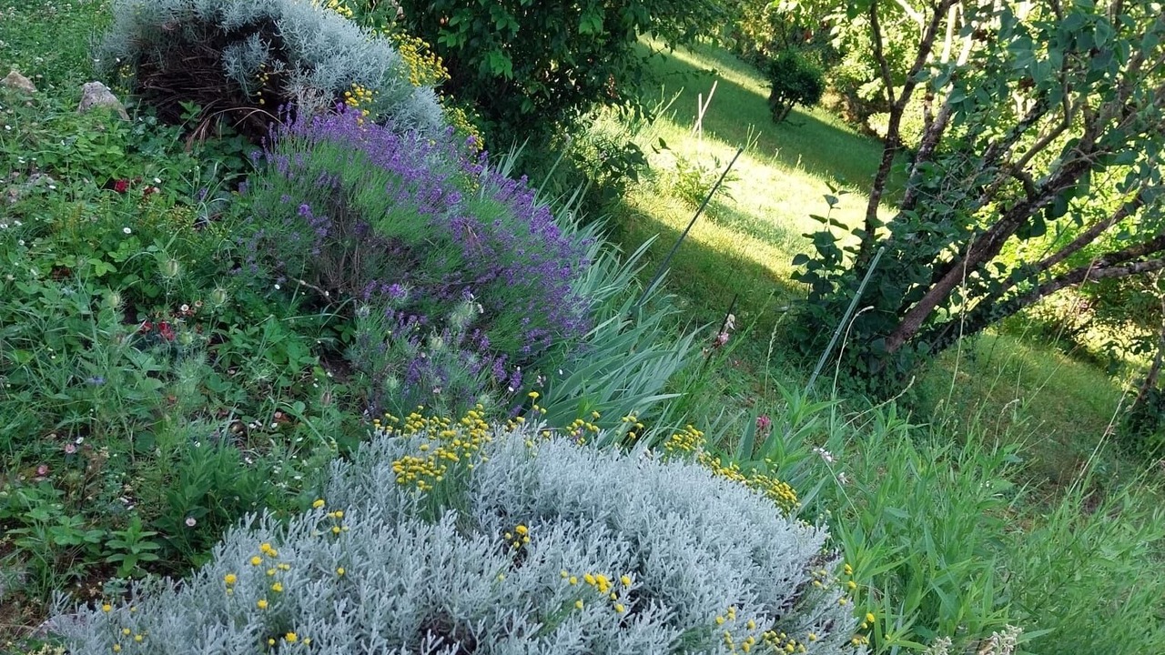 Photo of Outdoor in Monsac