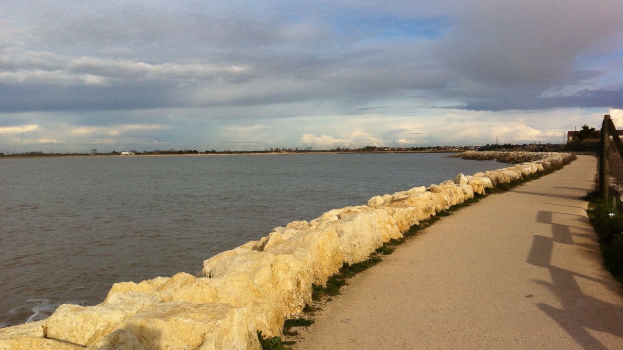 Photo of Others in Angoulins