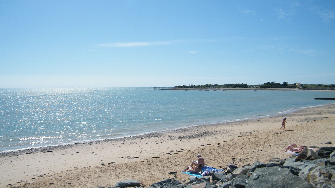 Photo of Others in Angoulins