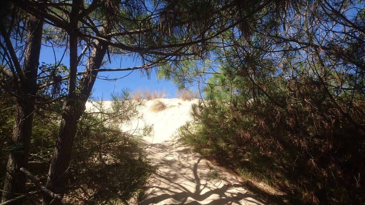 Photo of Outdoor in Messanges