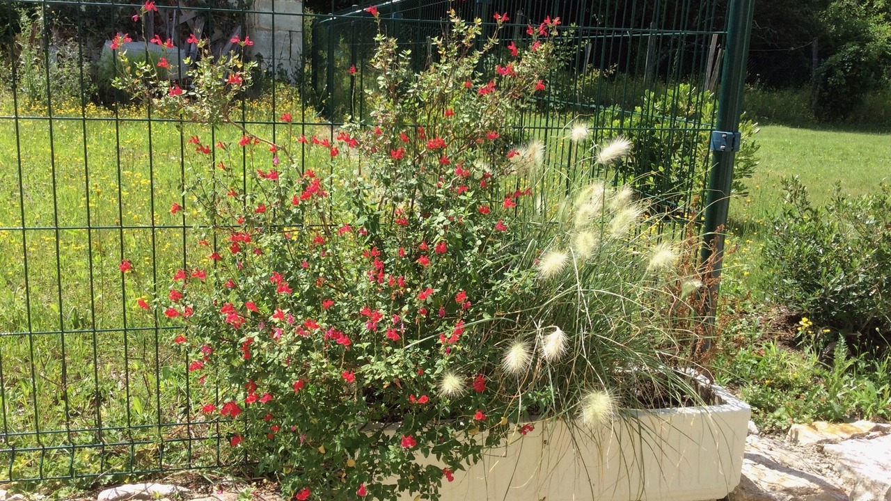 Photo of Outdoor in Douchapt